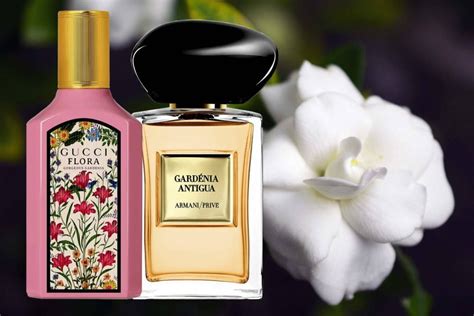 perfume de gardenias in english.